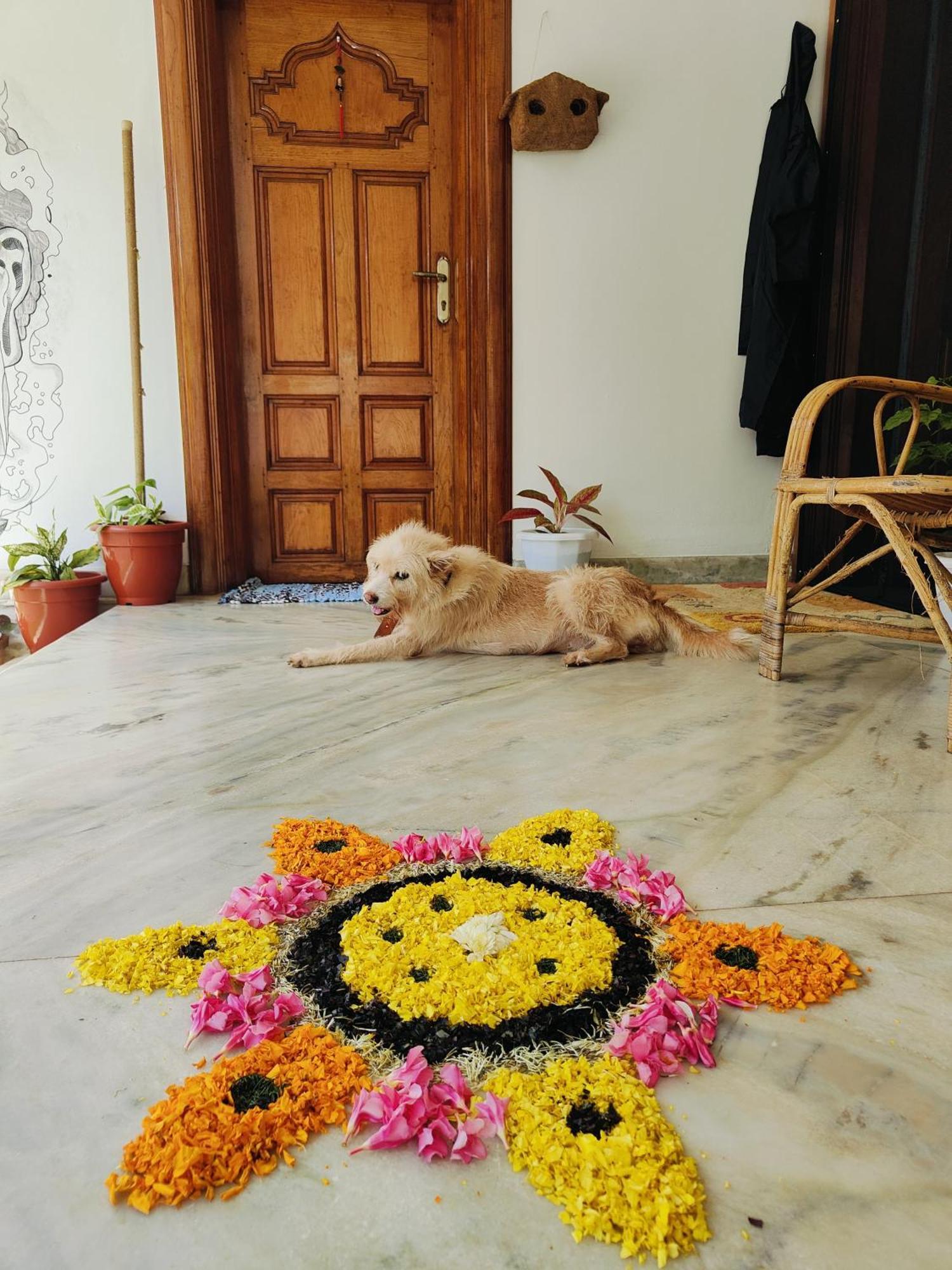Shamak Homestay Varkala Exteriér fotografie